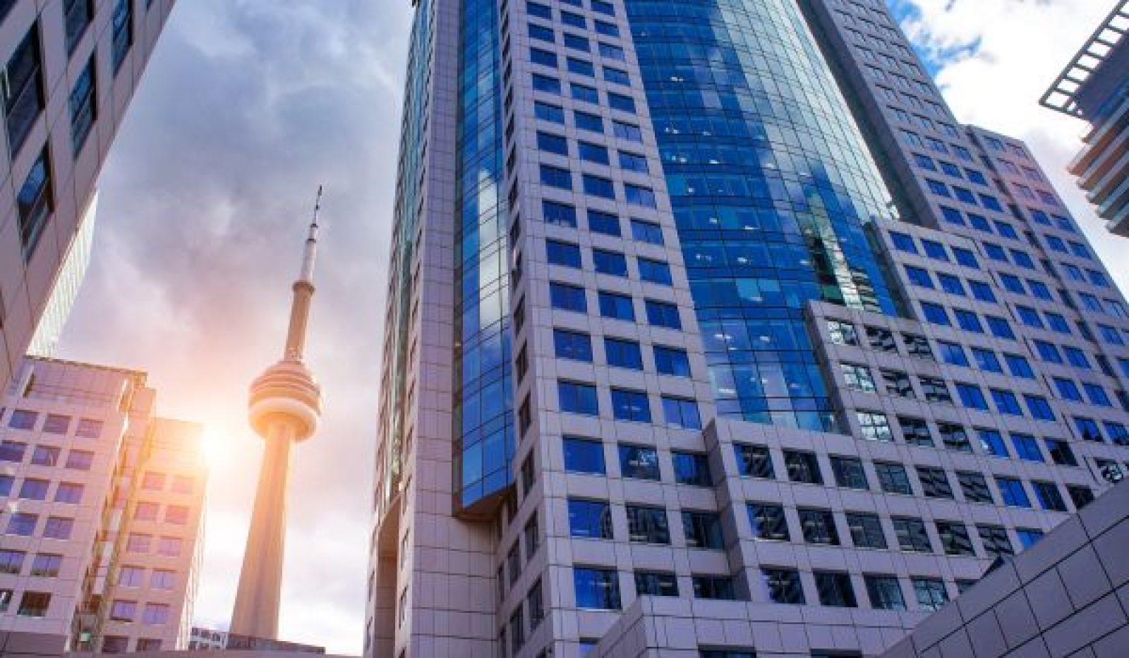 Newsletter - October 31 2025