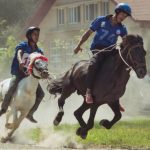 Horse-RacingImge Horse-RacingImge